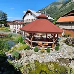 Imbachhorn In Den Alpen