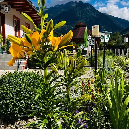 Imbachhorn In Den Alpen Gasthof *
