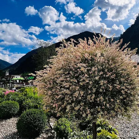Imbachhorn In Den Alpen *