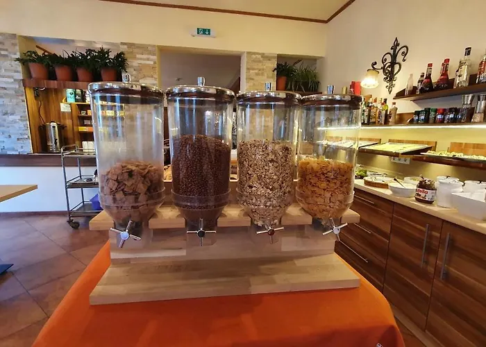 Gasthuis Imbachhorn In Den Alpen 3*