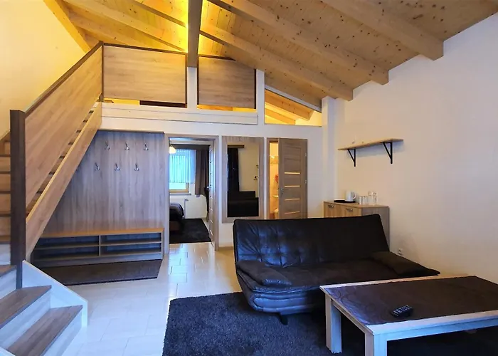 Gasthuis Imbachhorn In Den Alpen